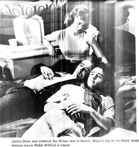 Sister And Brother F And Phone Seal Pack Sleeping - 5. Troubled Sexuality in the Popular Hollywood Featureâ€ in â€œSexuality in  the moviesâ€ on Digital Publishing at Indiana University Press