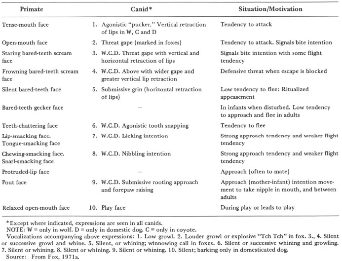 How Animals Communicate On Digital Publishing At Indiana University Press